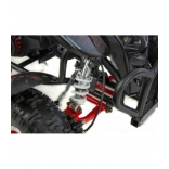 XTR Repti Nitro 49cc 2T XXIX.jpg