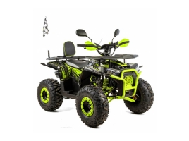 ATV Discovery 125CC XTR - Automatic 1+1 V.jpg