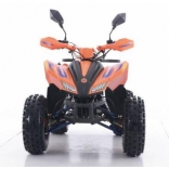 ATV Coyote 125CC XTR black-red_2.jpg