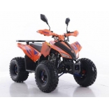 ATV Coyote 125CC XTR black-red_3.jpg