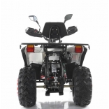 RFZ250 white_2.jpg