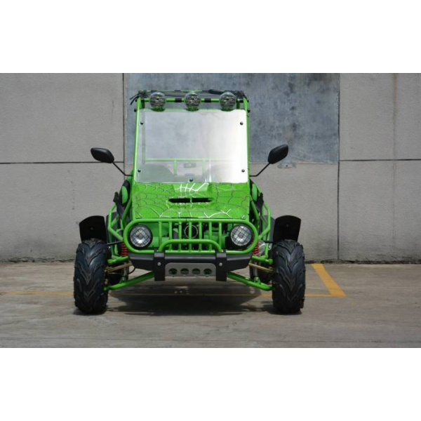 125spider3 green_4.jpg