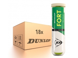 Dunlop Fort All Courts karton.jpg