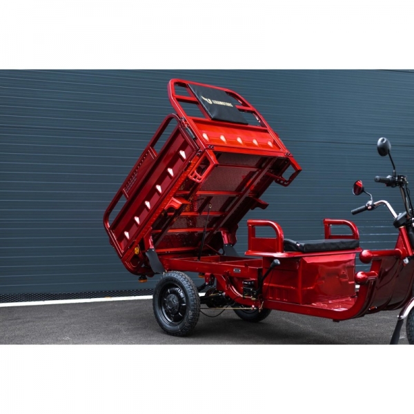 leramotors-cargo-g1-1000w-coc-seda 13.jpg