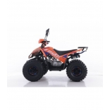 ctyrkolka-atv-coyote-125cc-xtr-automatic-11 orange 8.jpg