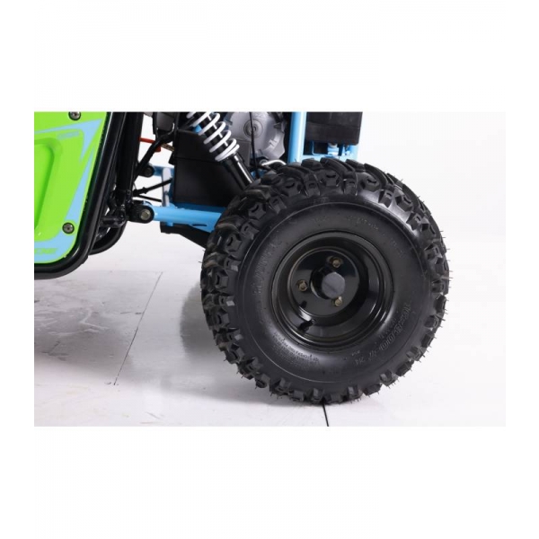 buggy-125cc-asix detail 2.jpg