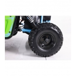 buggy-125cc-asix detail 2.jpg