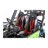 buggy-125cc-asix detail 3.jpg