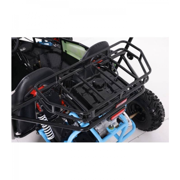 buggy-125cc-asix detail 9.jpg