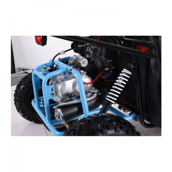 buggy-125cc-asix detail 7.jpg