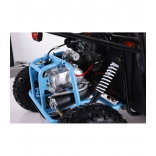 buggy-125cc-asix detail 7.jpg