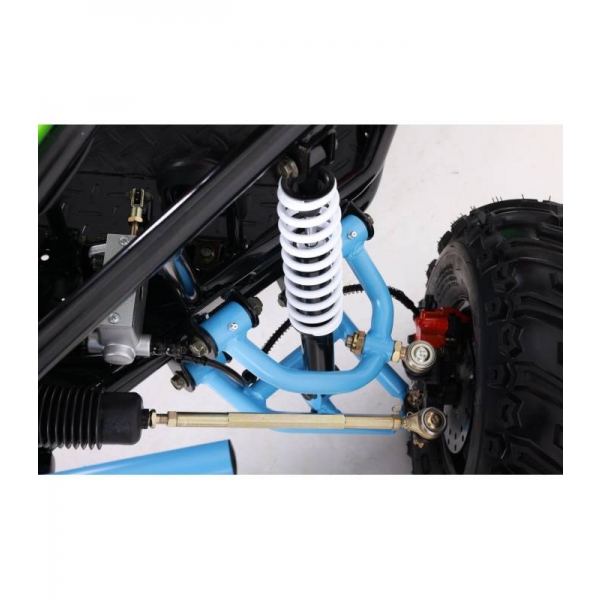 buggy-125cc-asix detail 14.jpg