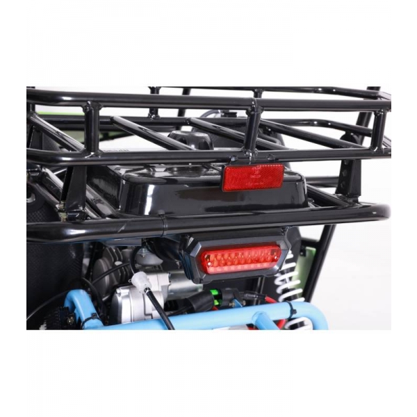 buggy-125cc-asix detail 8.jpg