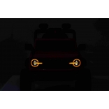FORD_BRONCO_SMALL_BLACK_LI 5.jpg