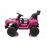 FORD_BRONCO_SMALL_PINK_LI 2.jpg