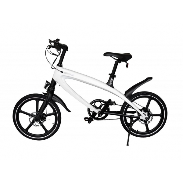 975_019-ebike-white.jpg