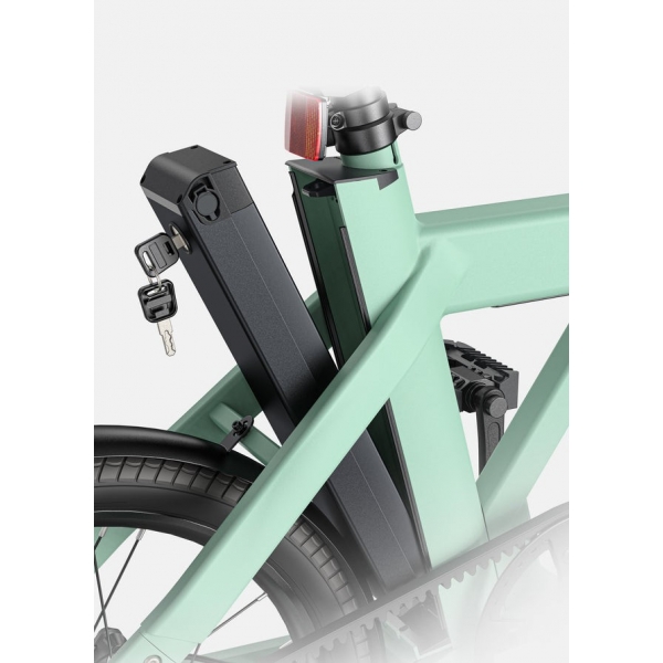 P20 green 4.jpg