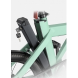 P20 green 4.jpg