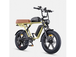 M1 dual battery yellow 1.jpg