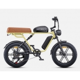 M1 dual battery yellow 3.jpg