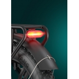 Engwe L20 Boost green 15.jpg