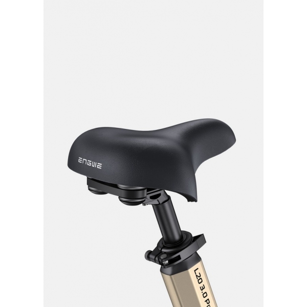 Engwe L20 3.0 Pro gold 9.jpg