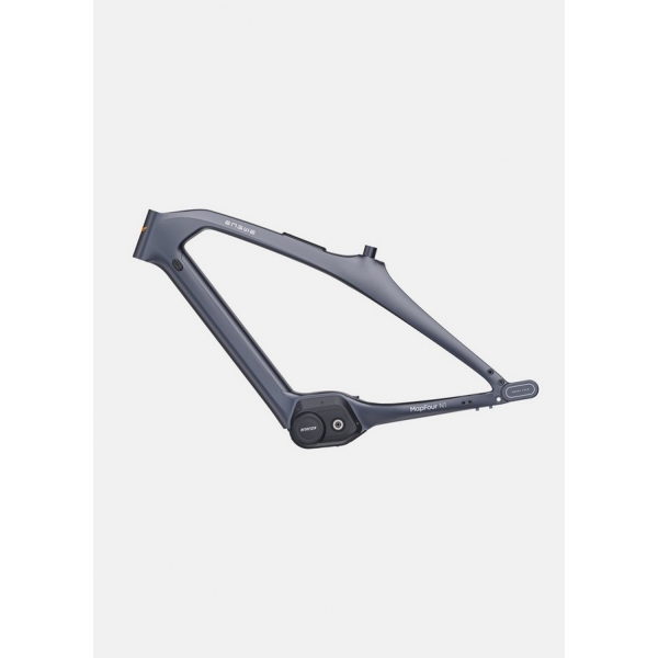 Engwe Mapfour N1 Pro 2025 grey 7.jpg
