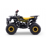 QUAD_ESCAPE_YELLOW_QD09_49CC 6.jpg
