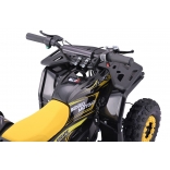 QUAD_ESCAPE_YELLOW_E-QD09_800W-3.jpg