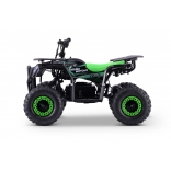 QUAD_ESCAPE_GREEN_E-QD09_800W-8.jpg