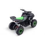 QUAD_ESCAPE_GREEN_E-QD09_800W-3.jpg