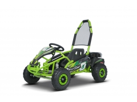BUGGY_RSX_GREEN.jpg