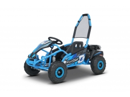 BUGGY_RSX_BLUE.jpg