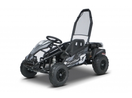 BUGGY_RSX_BLACK.jpg