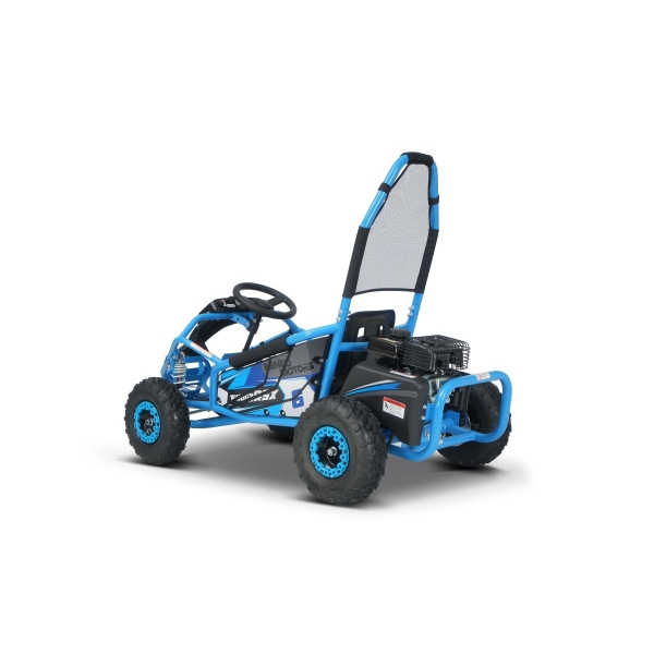BUGGY_RSX_BLUE-7.jpg