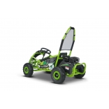 BUGGY_RSX_GREEN-8.jpg
