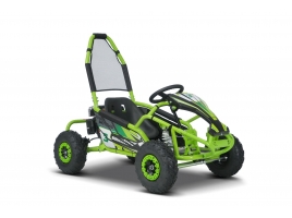 BUGGY_RSX_GREEN-3.jpg