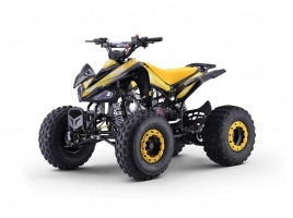 ZXT_ATV_YELLOW_A110.jpg