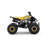 ZXT_ATV_YELLOW_A110-2.jpg