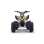 ZXT_ATV_YELLOW_A110-4.jpg