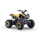 ZXT_ATV_YELLOW_A110-5.jpg