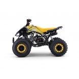ZXT_ATV_YELLOW_A110-3.jpg