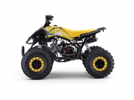 ZXT_ATV_YELLOW_A110-3.jpg