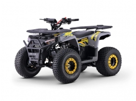 WARRIOR_ATV_YELLOW_U125.jpg