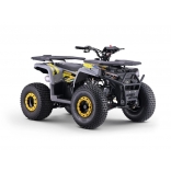 WARRIOR_ATV_YELLOW_U125-4.jpg