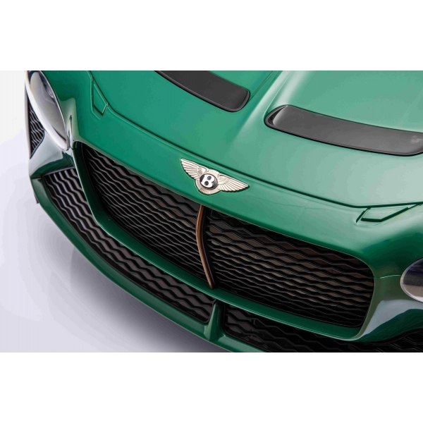 BENTLEY_BACALAR_GREEN_Li-14.jpg