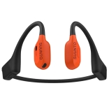 wing 2 coral I.png