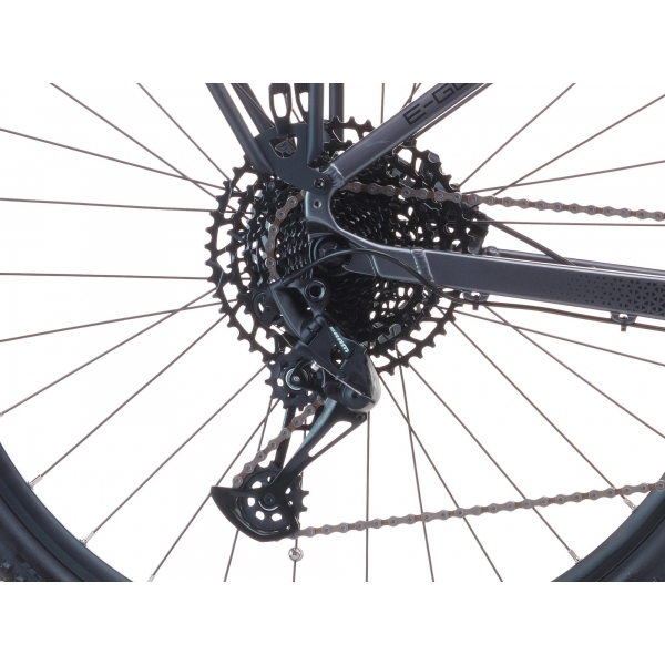 e-Gordo 9.11-(715 Wh).jpg