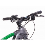 e-Gordo 9.11-(715 Wh).jpg