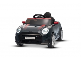 NEW_MINI_BLACK_Li I.jpg